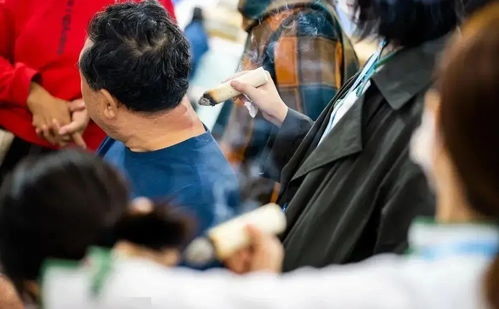 王振履新湖北蕲艾集团董事长，专注劳务服务助力产业发展